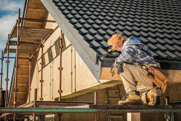 Best Roof Moss and Algae Removal  in Purdy, MO