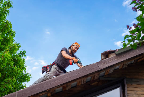 Steel Roofing in Purdy, MO